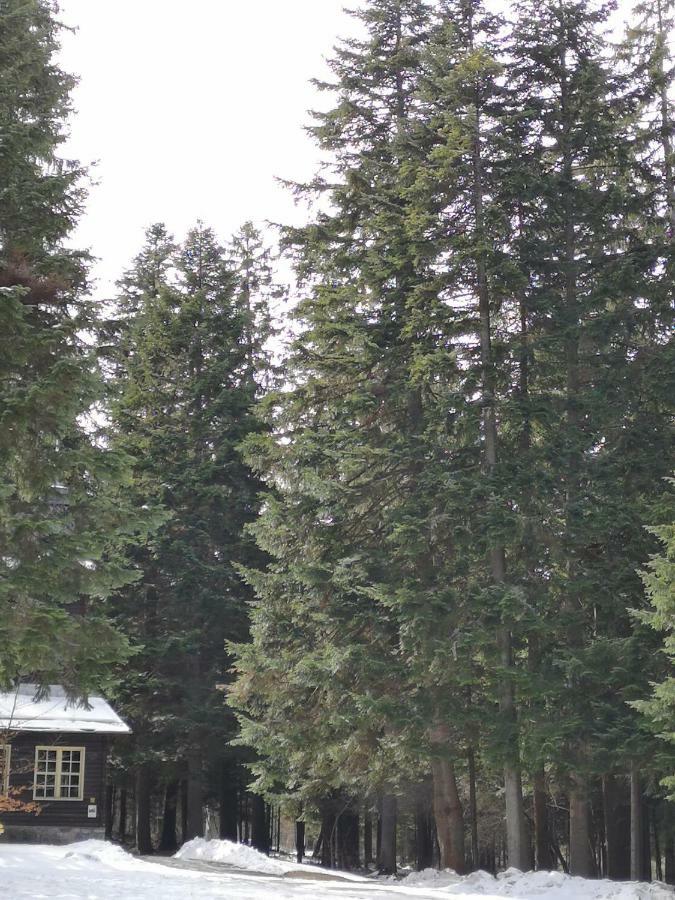 Excellent Studios For Your Vacation-Hotel Villa Park- Borovets Exterior foto